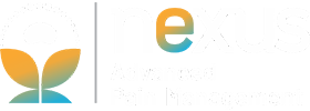 Nexus Pain